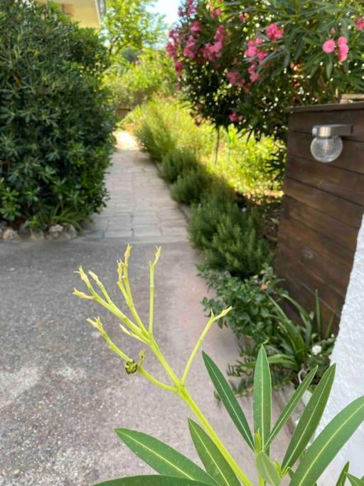 Une Pause Au Paradis Sorgues Ngoại thất bức ảnh